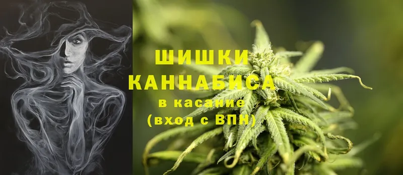 Бошки марихуана THC 21%  закладка  Нелидово 